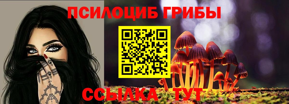 Псилоцибиновые грибы ЛСД Астрахань