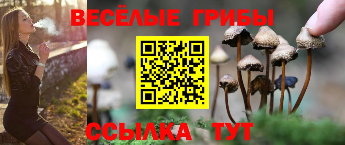 Астрахань  Галлюциногенные грибы мухоморы  Вход с VPN 