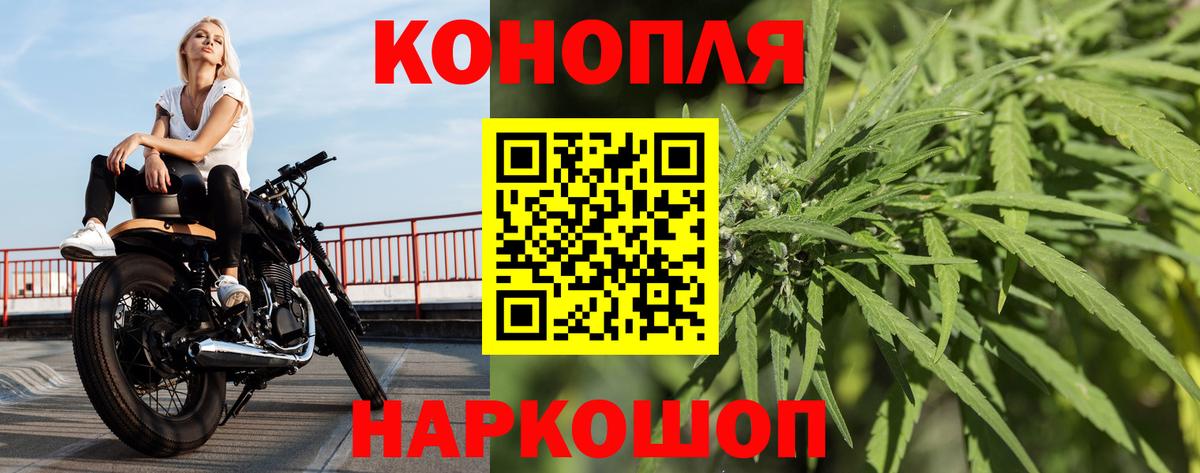 Марихуана конопля Астрахань